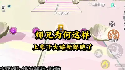 大师兄为何这样