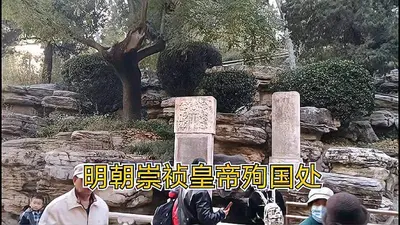 崇祯：煤山不上吊，反手抄了满朝文武