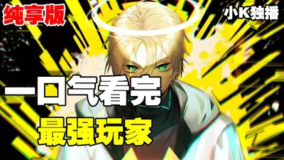 精灵之最强玩家